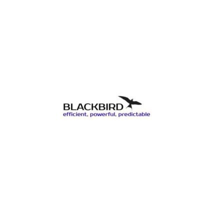 BlackBird V1.2 + Set MT4 EA No  DLL